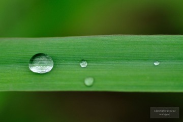 DSC_23812.jpg