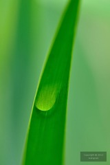 DSC_23820.jpg