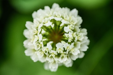 750DSC_12027
