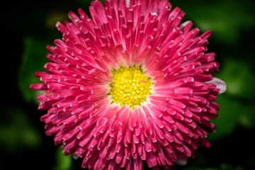 750DSC_11950