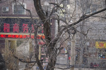 IMGP0501.JPG