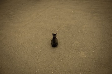 L1001206.jpg