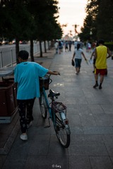 L1000150.jpg