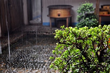 DSC_3014_1.jpg
