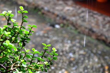 DSC_3021_1.jpg