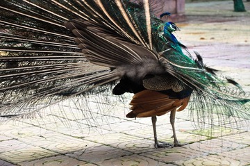 DSC_3180_1.jpg