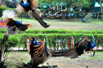DSC_3206_1.jpg