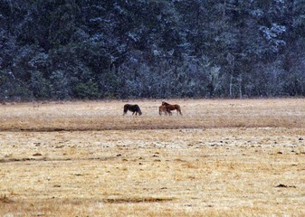 DSC02518_副本.jpg