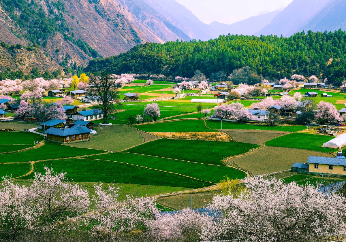 西藏察隅罗马村桃花源