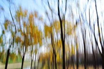 DSC_5732.jpg