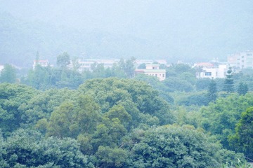 DSC_0760.jpg