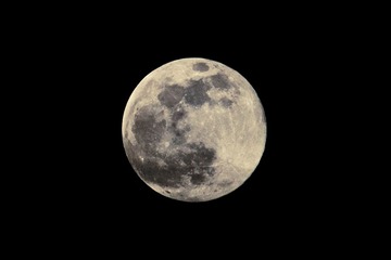 DSC_2387.jpg