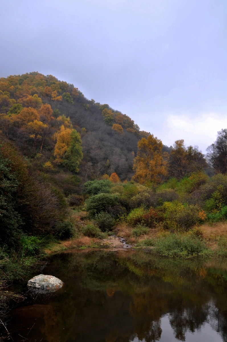石佛沟秋景