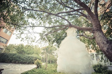 TEE_6482.jpg