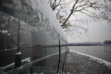 IMG_0187.JPG