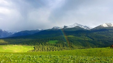 13532