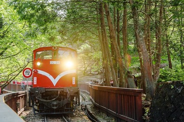 _DSC0405.jpg