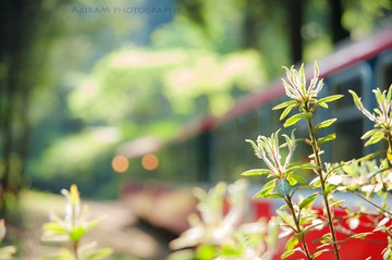 _DSC0420.jpg