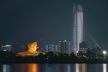 16658