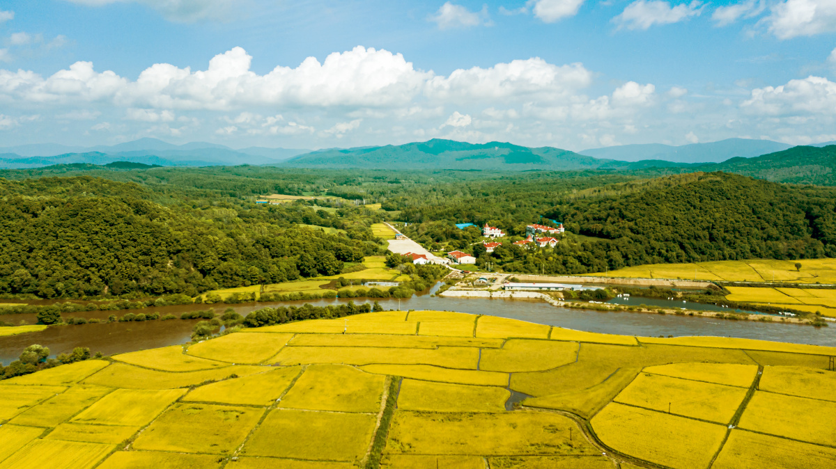 山川秀美万顷良田