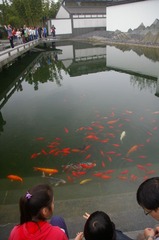 IMGP5575.JPG