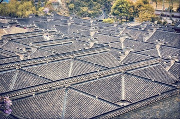 IMGP4921副本.jpg