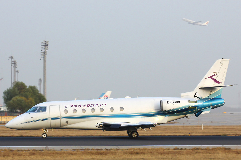 金鹿航空b8083