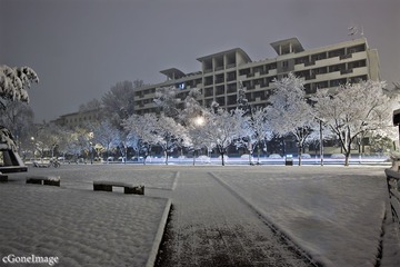 IMG_1366.jpg