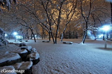 IMG_1426.jpg