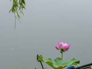 24BC7038-2279-4DDA-AE12-5270A5D788C5/L0/001