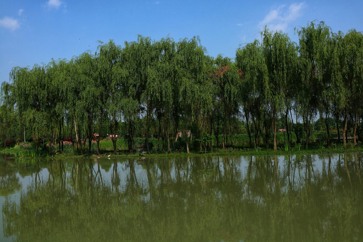 温江水立方湿地公园2018525