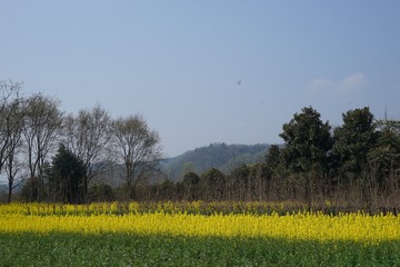 906259