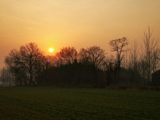 1491631
