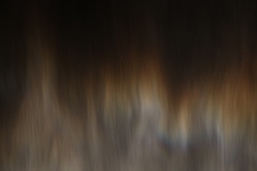 2349307