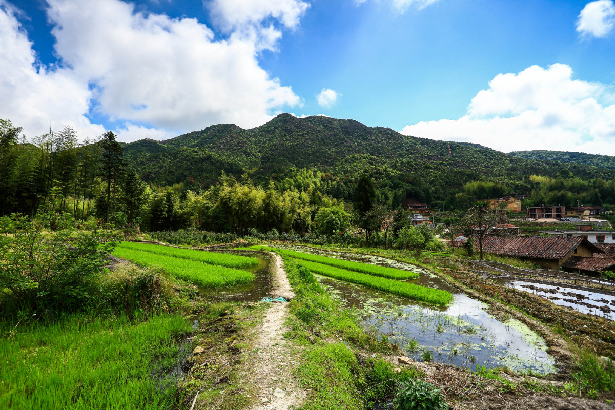 行摄村落(11)--遇见和春村,是最美丽的意外