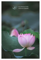 CHI_1757-1
