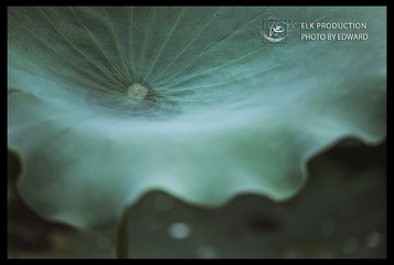 CHI_1769-1