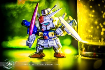 _DSC1512