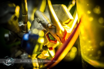 _DSC1524
