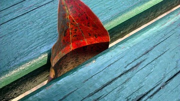 IMAG0779.jpg