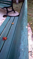 IMAG0791.jpg