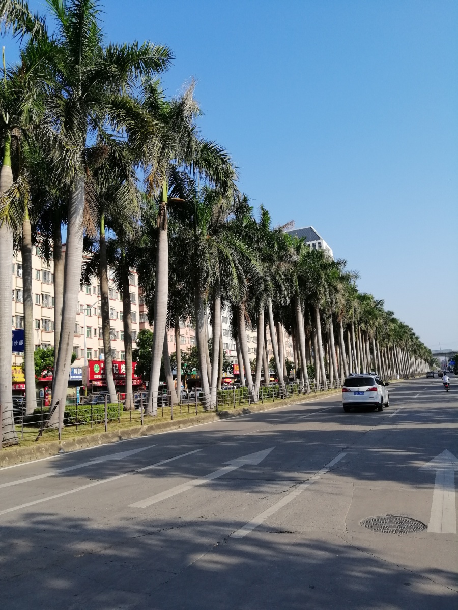 戒备森严拍于东莞长安沙头南区