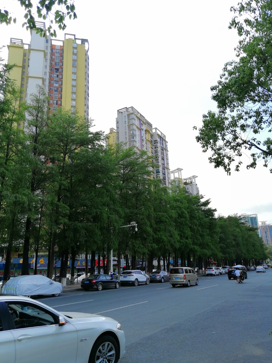 初夏的长青街拍于东莞长安