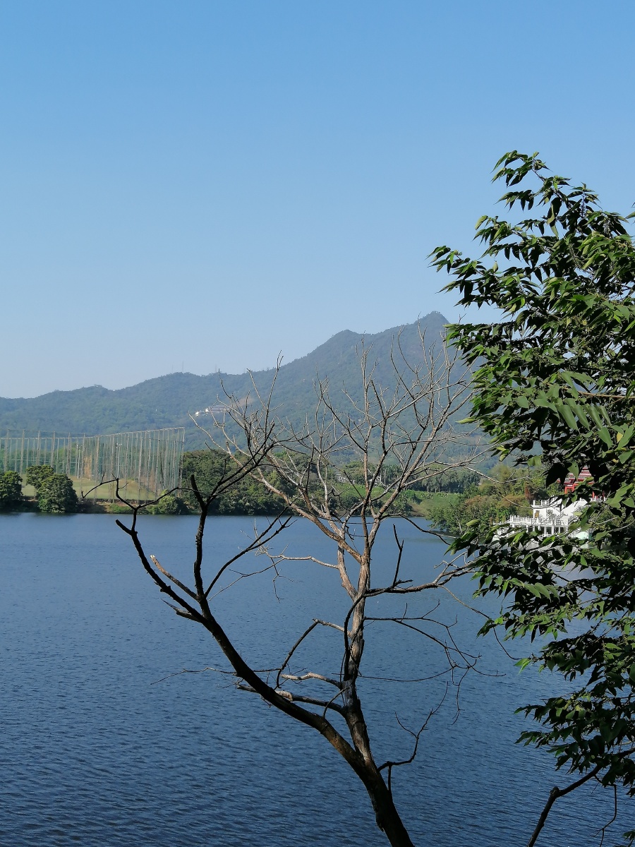 山水情缘拍于东莞长安莲花山下莲湖湖畔