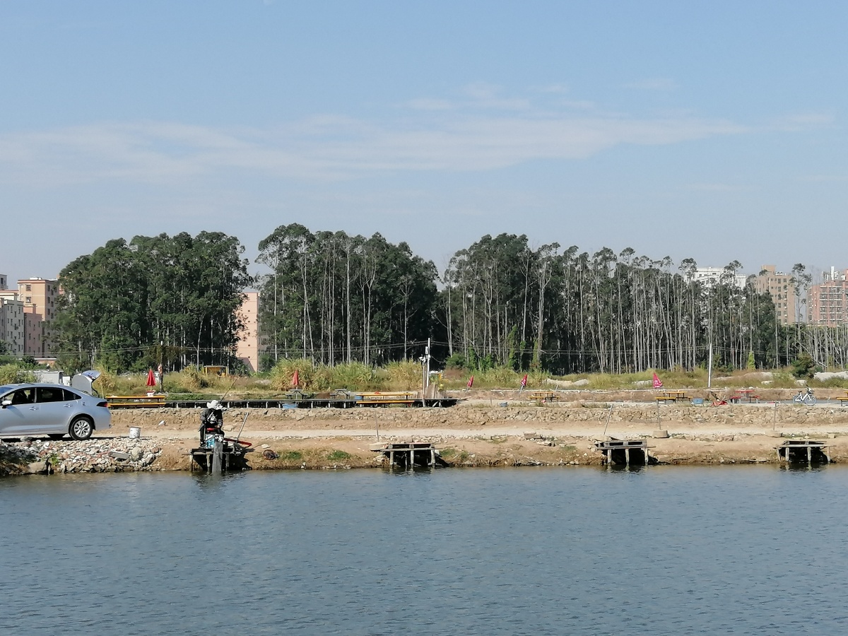 茅洲河风光拍于东莞长安