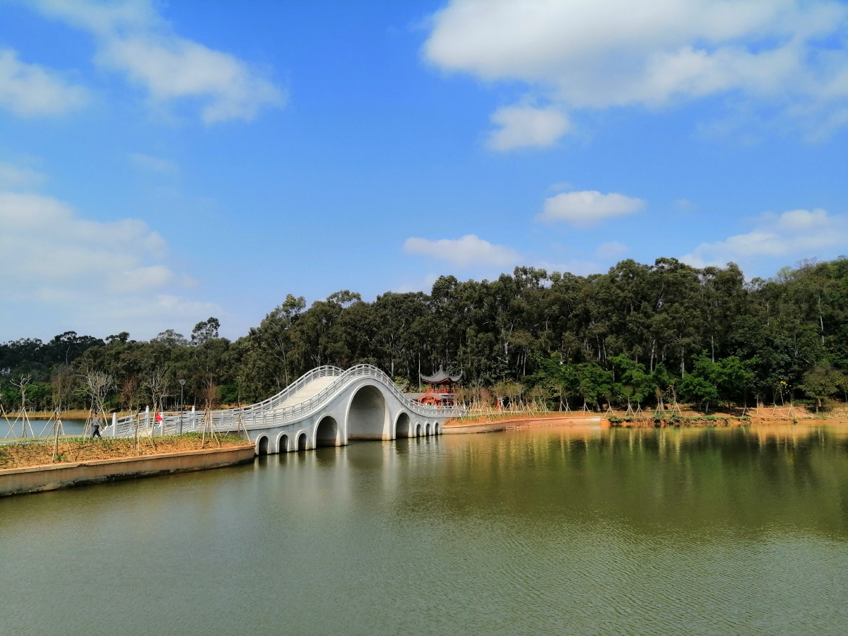 湖光山色拍于东莞长安莲花湖畔