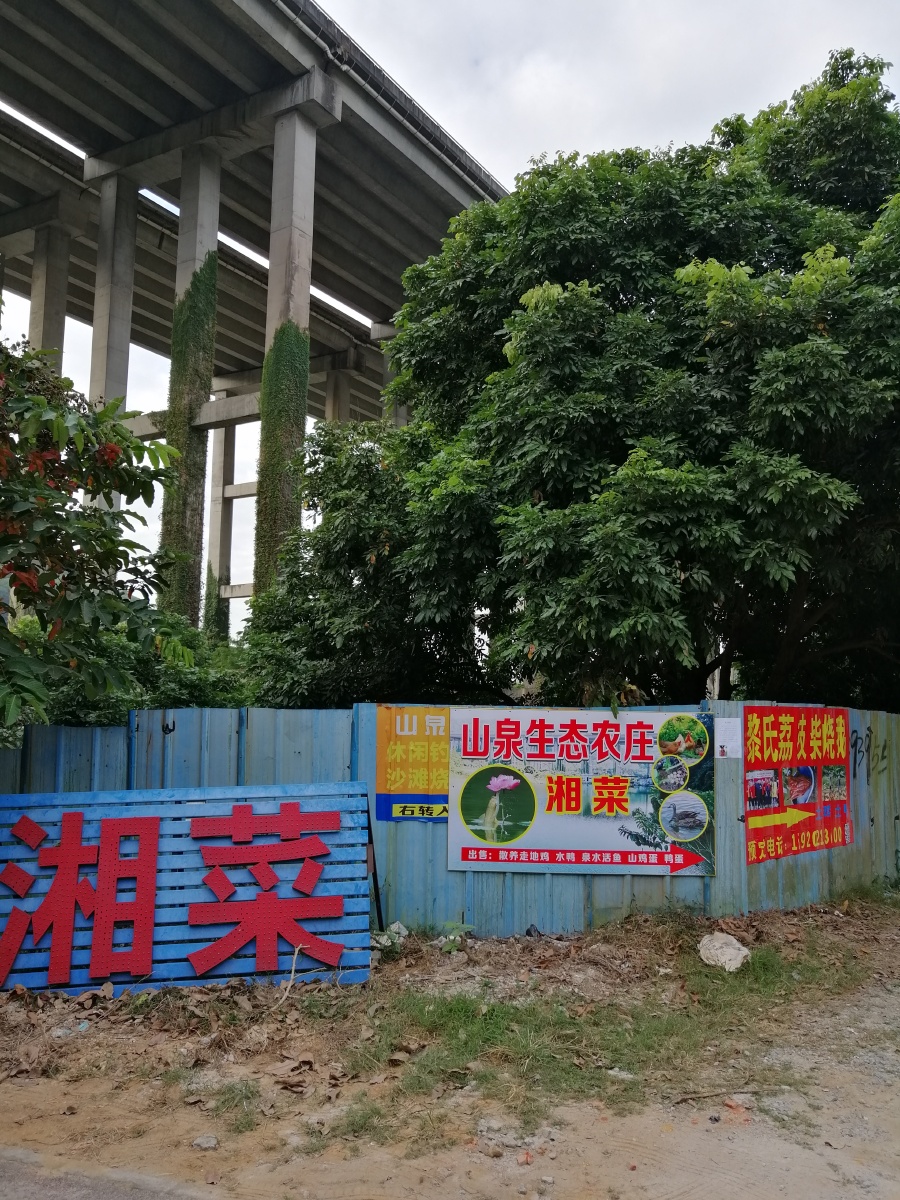 生态农庄拍于大岭山森林公园