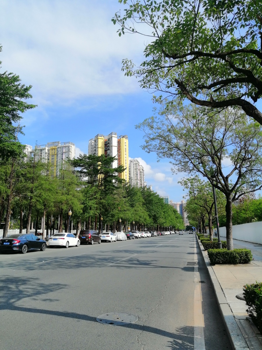 初夏的长青街拍于东莞长安