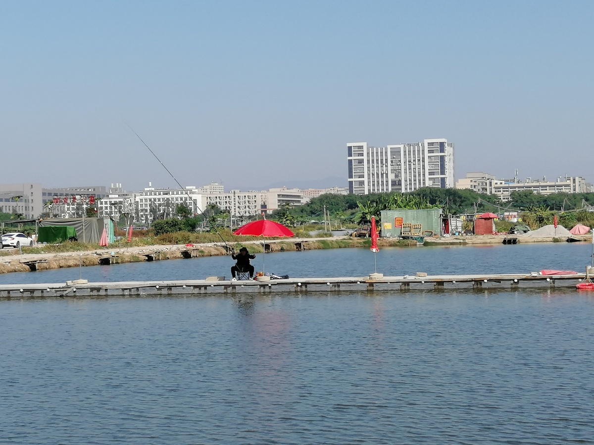 茅洲河风光拍于东莞长安