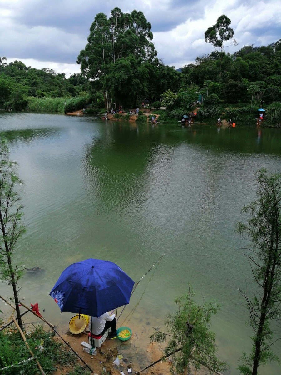 端午假期湖边垂钓拍于东莞长安莲湖水库